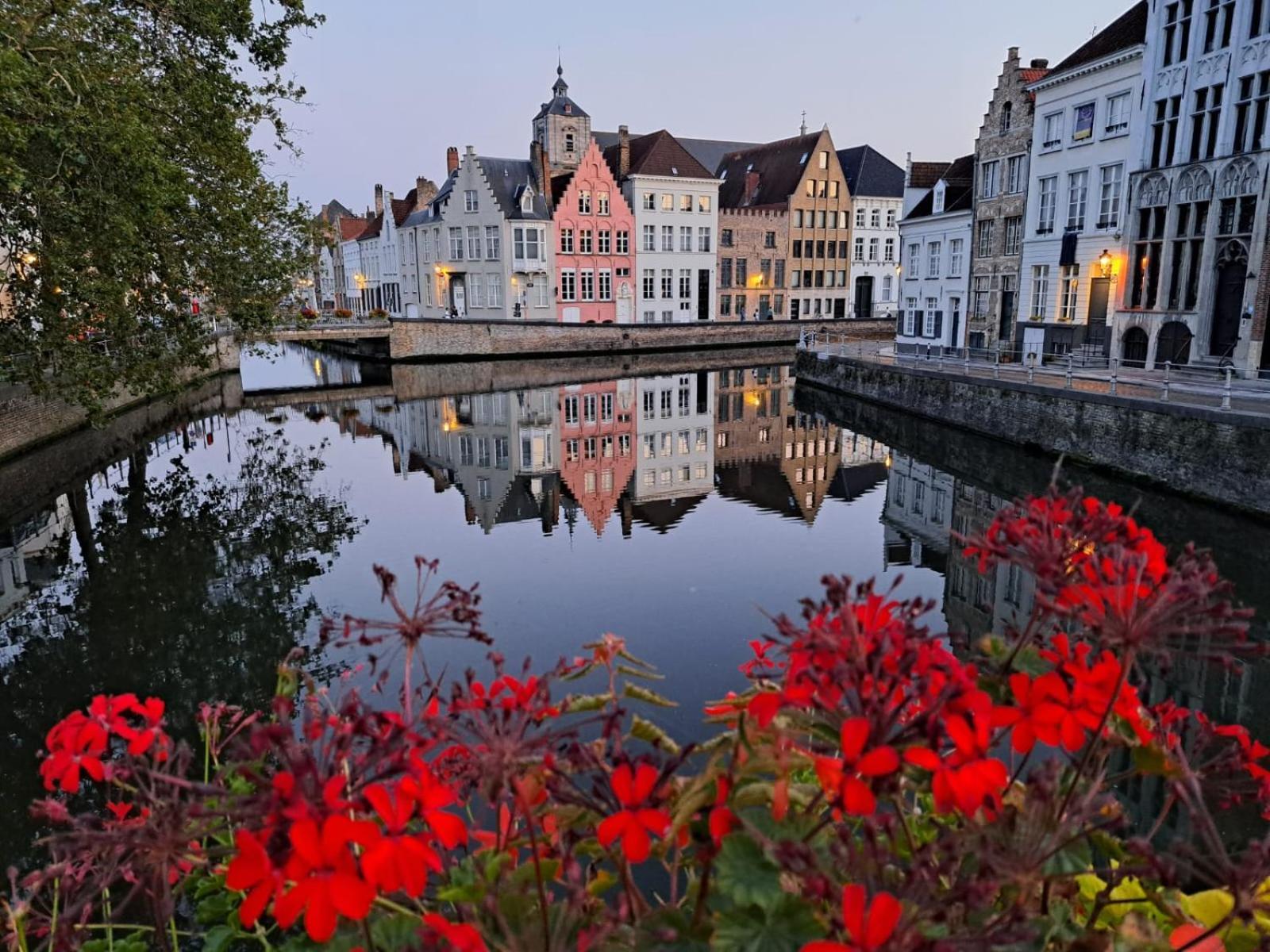 Bed and Breakfast Butterfly Brujas Exterior foto
